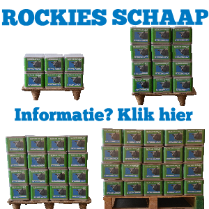 Rockies schaap informatie